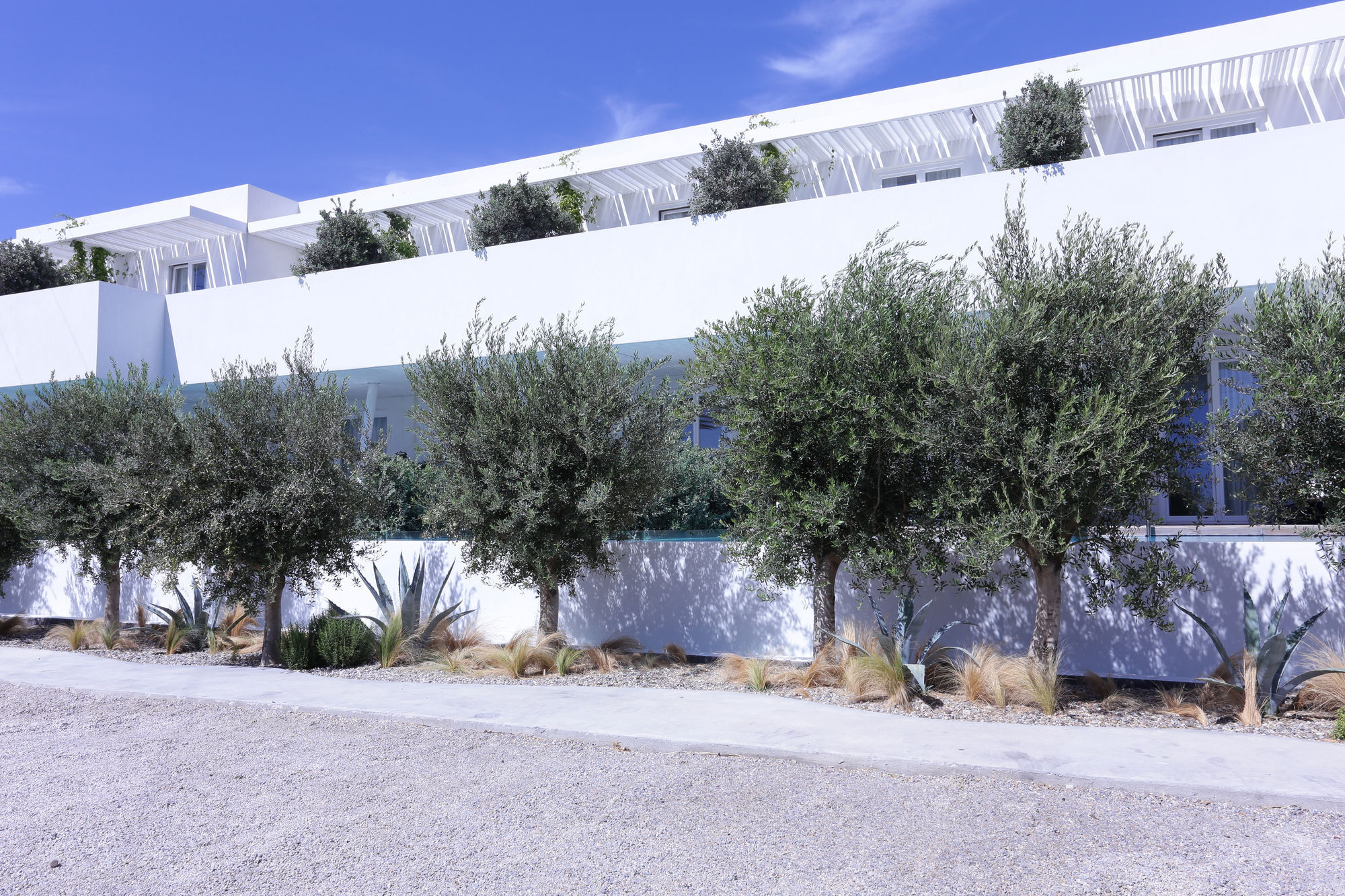 פלאטיס יאלוס Mykonos Dove Beachfront Hotel מראה חיצוני תמונה
